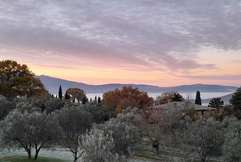 Agriturismo Barbi Monticchiello Exteriör bild